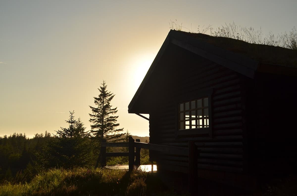 Dřevěný domek na samotě v podvečerním lese